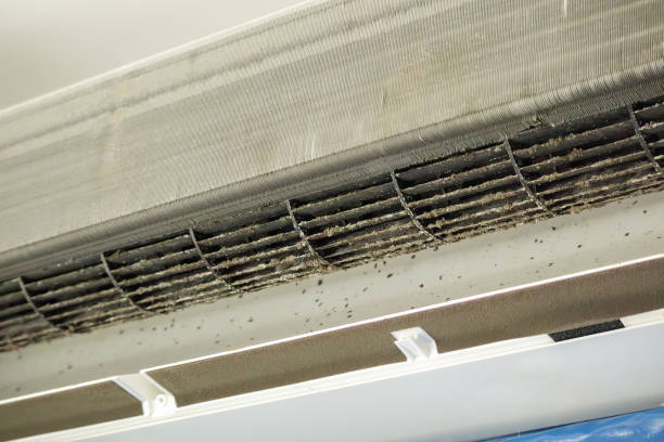 Best Commercial Air Duct Cleaning  in Fillmore, UT
